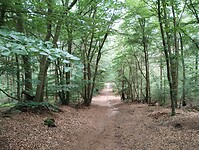IMG_20240604_103010199