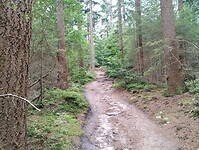 IMG_20240604_102650826
