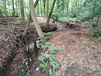 IMG_20240604_101941234