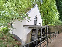IMG_20240604_101650419_HDR