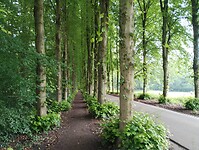 IMG_20240604_100920993