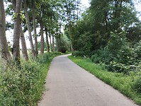 IMG_20240605_150912804