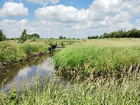 IMG_20240605_135257980