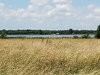 IMG_20240605_131752365