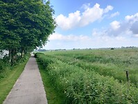 IMG_20240605_091923529_HDR