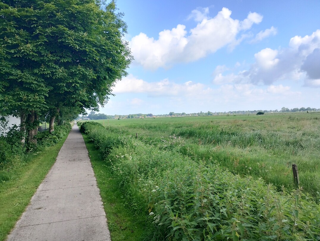 IMG_20240605_091923529_HDR