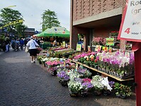 IMG_20240606_092524896_HDR