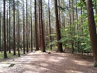IMG_20240606_095439857