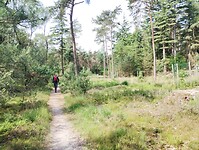 IMG_20240606_105241107