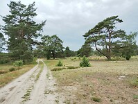 IMG_20240606_112745107