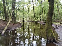 IMG_20240606_115301239