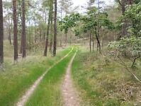 IMG_20240606_123315093