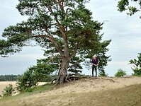 IMG_20240606_130206301_HDR