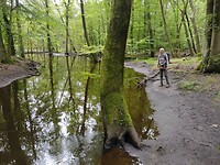 IMG-20240606-WA0009