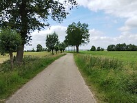 IMG_20240609_150745272