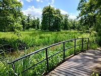IMG_20240609_134958562_HDR