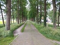 IMG_20240609_133259204
