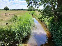IMG_20240609_131646010_HDR