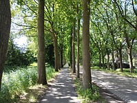 IMG_20240609_120357673