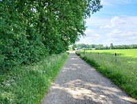 IMG_20240609_114026000_HDR