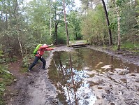 IMG_20240610_162819081