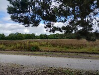 IMG_20240610_161112852_HDR