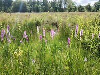 IMG_20240610_153934694