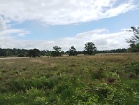 IMG_20240610_153252730