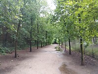 IMG_20240610_150505898