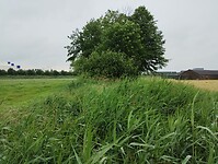 IMG_20240610_100935380