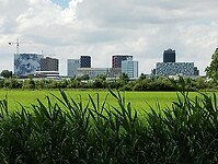 IMG_20240611_141318189
