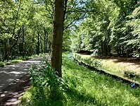IMG_20240611_135244145_HDR