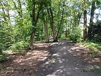 IMG_20240611_132753412