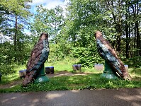 IMG_20240611_113738366_HDR