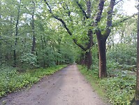 IMG_20240611_112230214