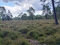 IMG_20240611_112024751_HDR