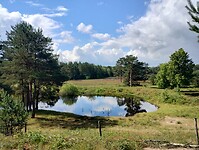 IMG_20240611_111156244_HDR