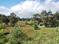 IMG_20240611_110847050