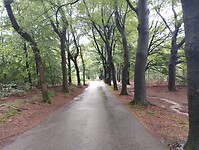 IMG_20240611_100402522