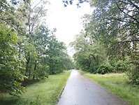 IMG_20240611_093247403