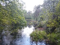 IMG_20240611_092843406