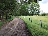 IMG_20240616_100624255