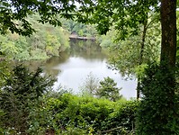 IMG_20240804_125317498_HDR