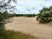 IMG_20240804_122450172_HDR