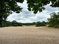 IMG_20240804_121705302_HDR