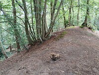IMG_20240804_121253499