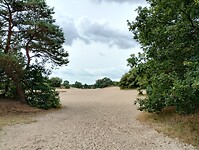 IMG_20240804_120849978_HDR
