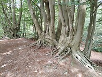 IMG_20240804_120553579