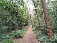IMG_20240804_115256609