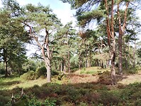 IMG_20240804_110008282